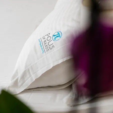 Hotel Polis Of Naxos Boutique Naxos City